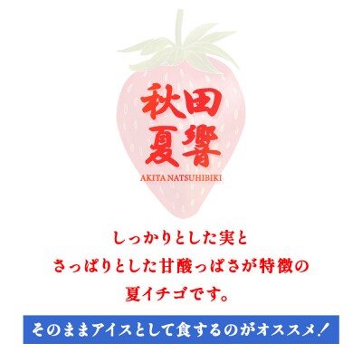 秋田夏響 冷凍 1kg 夏イチゴ いちご 苺|01_ats-120101