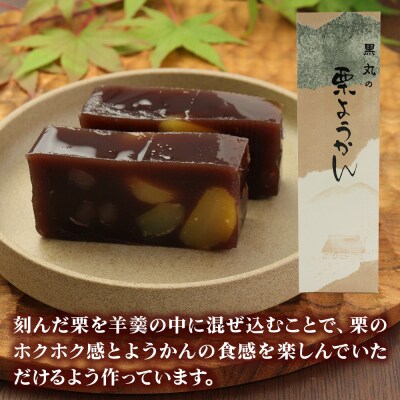栗ようかん 2本(450g×2本) ＜ゆうパケット＞|01_krm-090101
