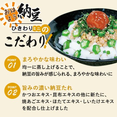 ヤマダフーズ おはようひきわり ミニ 3パック×12個(計36個)|01_ymf-153601