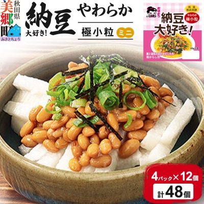 ヤマダフーズ 納豆大好きやわらか極小粒ミニ4パック×12個(計48個)|01_ymf-204801