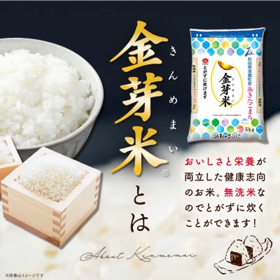 令和7年産 金芽米 あきたこまち 10kg(5kg×2袋)|01_amd-921001