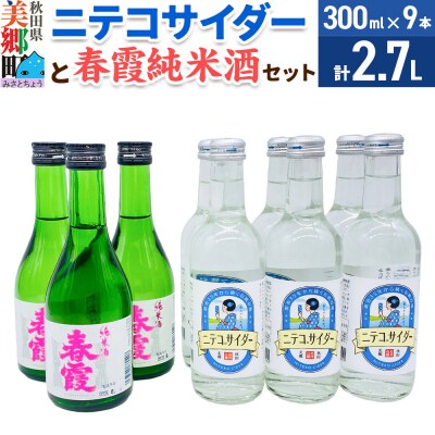 炭酸飲料 日本酒 ニテコサイダー6本と春霞純米酒3本のセット|01_amd-620101aa