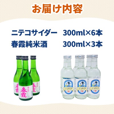 炭酸飲料 日本酒 ニテコサイダー6本と春霞純米酒3本のセット|01_amd-620101aa