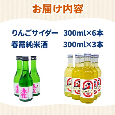炭酸飲料 日本酒 りんごサイダー6本と春霞純米酒3本のセット|01_amd-620101ba
