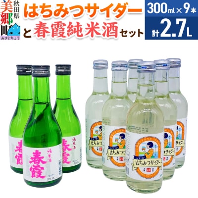 炭酸飲料 日本酒 はちみつサイダー6本と春霞純米酒3本のセット|01_amd-620101ca