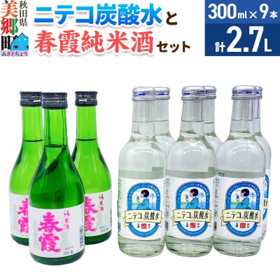 炭酸飲料 日本酒 ニテコ炭酸水6本と春霞純米酒3本のセット|01_amd-620101ea