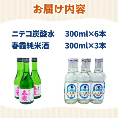炭酸飲料 日本酒 ニテコ炭酸水6本と春霞純米酒3本のセット|01_amd-620101ea