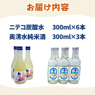 炭酸飲料 日本酒 ニテコ炭酸水6本と奥清水純米酒3本のセット|01_amd-620101eb