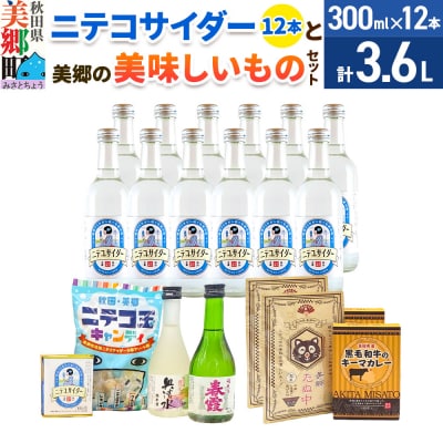 炭酸飲料 ニテコサイダー12本と美郷の美味しいものセット|01_amd-650101a