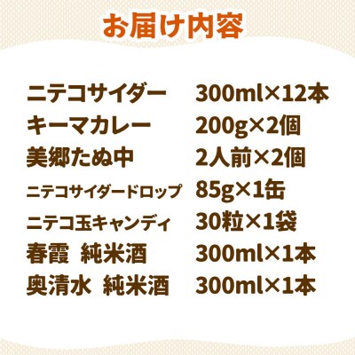 炭酸飲料 ニテコサイダー12本と美郷の美味しいものセット|01_amd-650101a