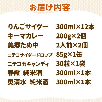 炭酸飲料 りんごサイダー12本と美郷の美味しいものセット|01_amd-650101b