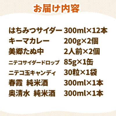 炭酸飲料 はちみつサイダー12本と美郷の美味しいものセット|01_amd-650101c