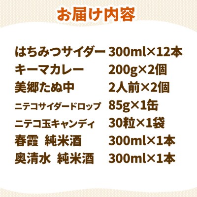 炭酸飲料 はちみつサイダー12本と美郷の美味しいものセット|01_amd-650101c