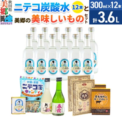 炭酸飲料 ニテコ炭酸水12本と美郷の美味しいものセット|01_amd-650101e