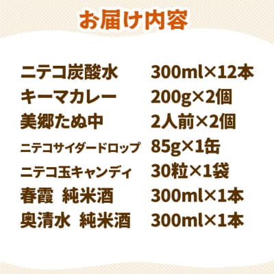 炭酸飲料 ニテコ炭酸水12本と美郷の美味しいものセット|01_amd-650101e