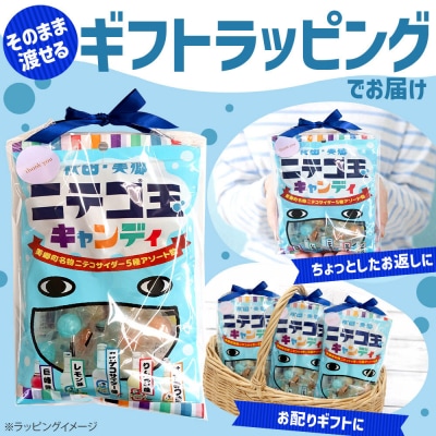 ニテコ玉キャンディ 5種アソート 3袋セット|01_amd-160301