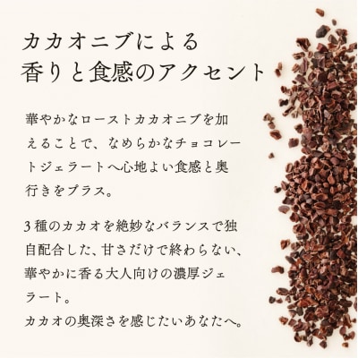 ジェラテリア TiG イタリアンジェラート グランカカオチョコレート2L|01_abo-060101