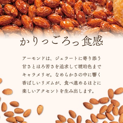 ジェラテリア TiG イタリアンジェラート 琥珀のアーモンドプラリネ2L|01_abo-070101