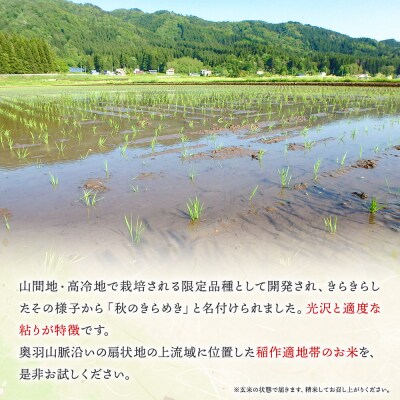 新米受付 令和8年産 玄米 秋のきらめき 30kg|01_skg-010101