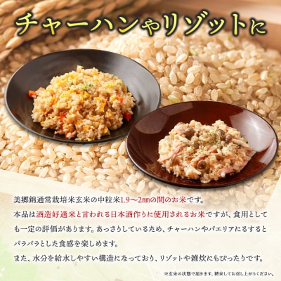 新米受付 令和8年産 玄米 酒造好適米 美郷錦中粒米 30kg|01_skg-033001