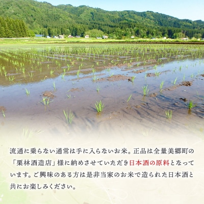 新米受付 令和8年産 玄米 酒造好適米 美郷錦中粒米 30kg|01_skg-033001