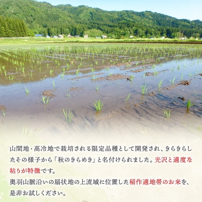新米受付 令和8年産 白米 定期便12回 秋のきらめき 10kg|01_skg-021012