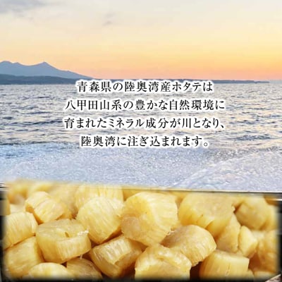 陸奥湾産ほたて干し貝柱(Sサイズ240g)