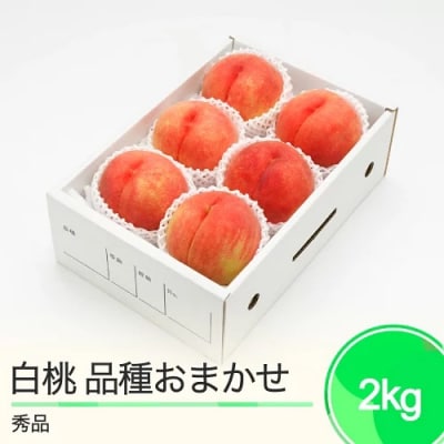 もも 白桃 秀品 品種おまかせ 化粧箱入り 約2kg 2025年産 