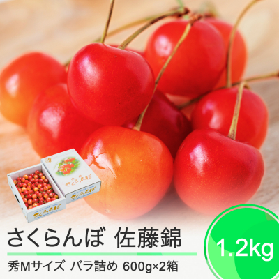 さくらんぼ 佐藤錦 秀Mサイズ 1.2kg(600g×2箱) バラ詰め 2025年産 山形県産