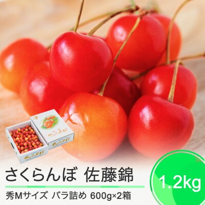 さくらんぼ 佐藤錦 秀Mサイズ 1.2kg(600g×2箱) バラ詰め 2025年産 山形県産