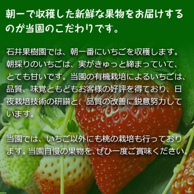 石井さんち(石井果樹園)の完熟いちご　約1kg(500g×2パック)
