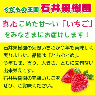 【さとふる限定】石井さんちの完熟いちご[とちおとめ]4パック☆2L～3Lサイズ