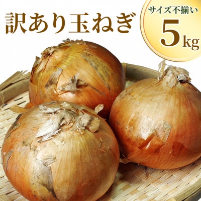 福島県鏡石町産　訳あり　サイズ不揃い玉ねぎ　5kg入り