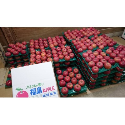 【福島県鏡石町産】完熟サンふじ　5kg(家庭用12玉～22玉)