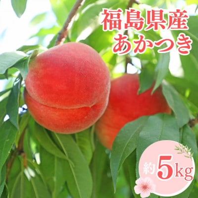 《先行予約》福島県産 甘くてジューシー 桃 あかつき 約5kg(18～25玉)