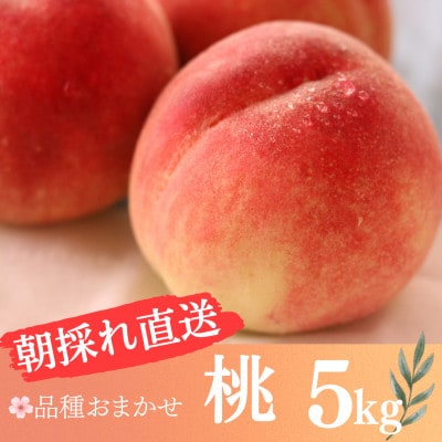 朝採れ直送!桃5kg(13玉～25玉)品種はおまかせ 果汁あふれる旬の桃