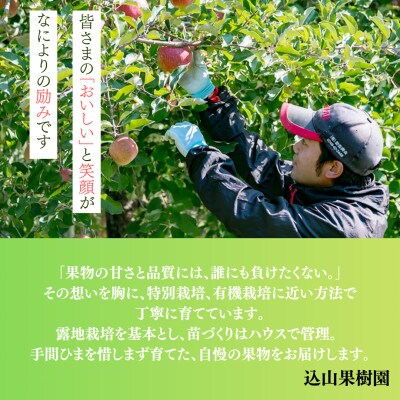 【先行予約】 福島県産 甘くてジューシー 桃 川中島 白桃 2kg(6玉～10玉)