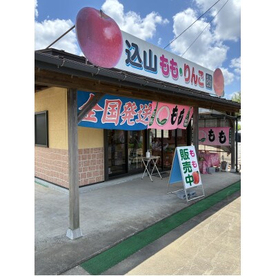 【先行予約】福島県産 甘くてジューシー 桃 川中島 白桃 5kg(15玉～22玉)