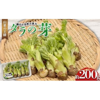 山菜の王様 鏡石の自然の恵み タラの芽 約200g(約50g×4)F6Q-467