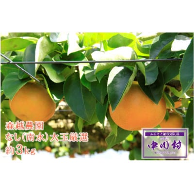 【農家直送】森越農園のなし(南水) 約3kg