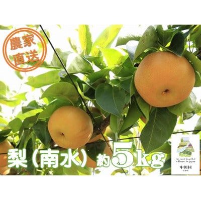 【農家直送】森越農園のなし(南水) 約5kg