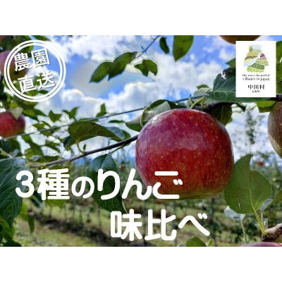 【農園直送】フルーツガーデン松村のりんご 味比べ3種セット 約3kg
