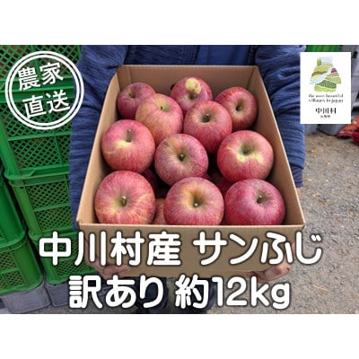 担当者おすすめ「味覚の里なかがわ」の旬のくだもの(サンふじ約12kg 訳あり 不揃い バラ詰め)