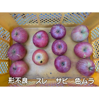 担当者おすすめ「味覚の里なかがわ」の旬のくだもの(サンふじ約12kg 訳あり 不揃い バラ詰め)
