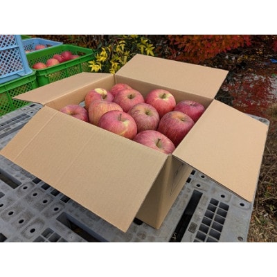 担当者おすすめ「味覚の里なかがわ」の旬のくだもの(サンふじ約12kg 訳あり 不揃い バラ詰め)