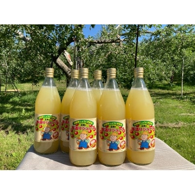 片桐農園 100%りんごジュース飲み比べ 3種6本セット