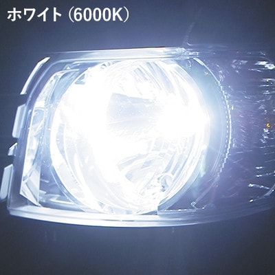 LEDヘッドライト ライジングアルファ H8/H9/H11/H16 6000K 2個入