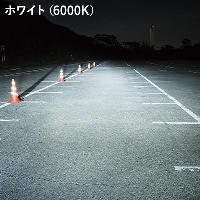 LEDヘッドライト ライジングアルファ H8/H9/H11/H16 6000K 2個入