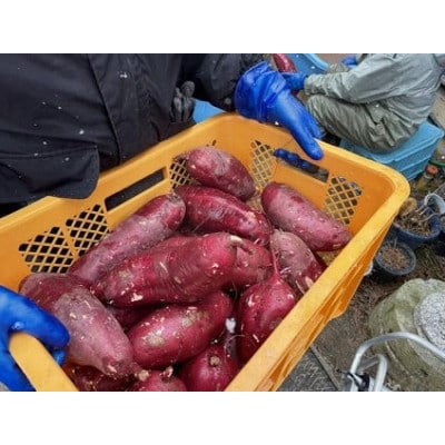 富永農園の干し芋 (有機JAS認定 紅はるか) 200g×5袋