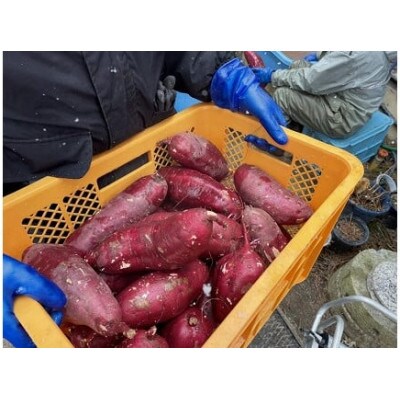 富永農園の干し芋バラ詰め1.8kg (有機JAS認定 紅はるか)